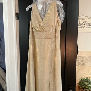 Gold/Champagne Shimmer Evening Gown.